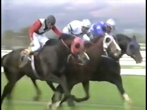 1988 SAJC 𝐒𝐨𝐮𝐭𝐡 𝐀𝐮𝐬𝐭𝐫𝐚𝐥𝐢𝐚𝐧 𝐃𝐞𝐫𝐛𝐲