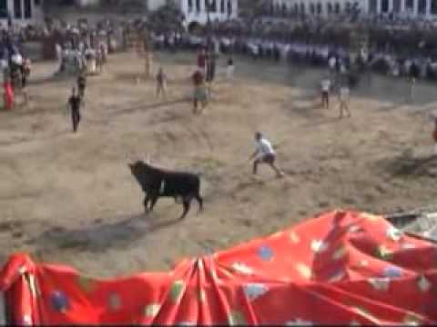 Video de los toros del año 2005