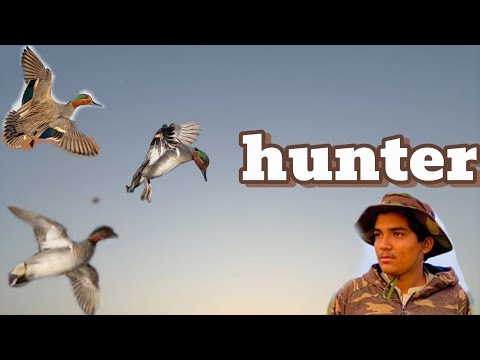 Hunting #duckhunter #duckhunt