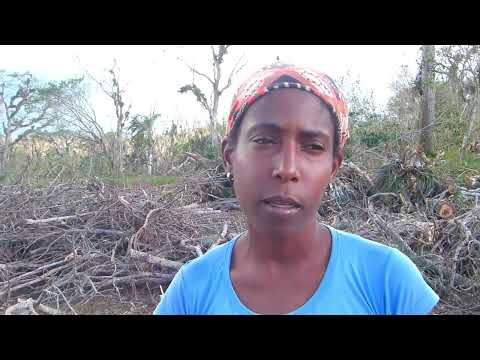 Laboran en recuperación de comunidades rurales de Songo La Maya.