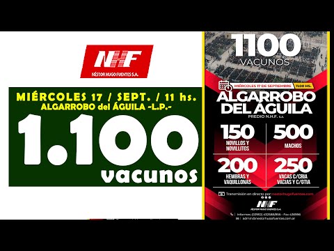 en VIVO- 11 hs. - REMATE de NÉSTOR HUGO FUENTES S.A. - ALG. del ÁGUILA - MIÉ. 17 / SEPT. / 2025 -