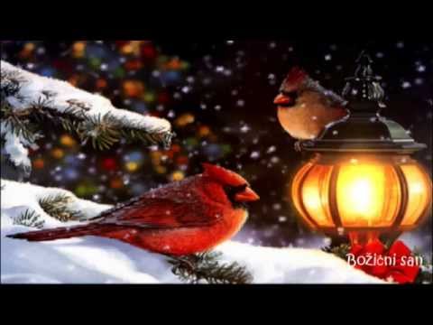 BOŽIĆNI SAN🎄 KIKIĆI -DJEČJA PJESMICA