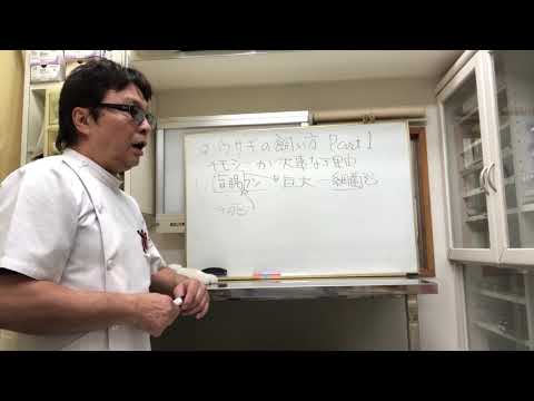 うちのウサギが干し草を食べたがらないのですが、どうすればいいでしょうか?