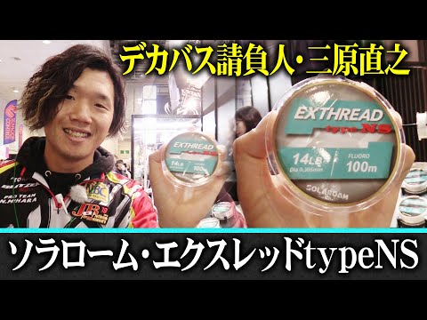 ソレックス・オルナトゥスについて詳しく解説