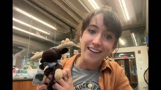 Elizabeth Forbes, Ph.D.  |  Yale University  | School of the Environment