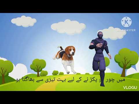 پالتو کتا 🐕🐶