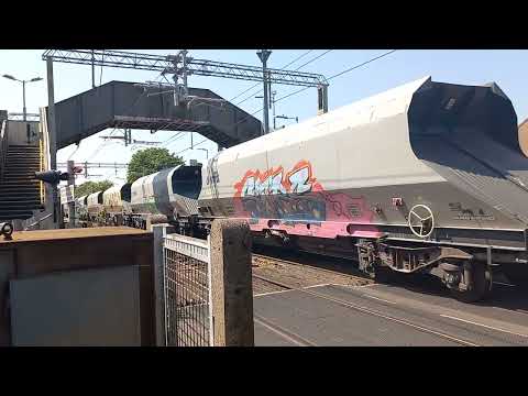 66614 "1916 Poppy 2016" - 6L56 - 1439 Grays - 9th June 2023