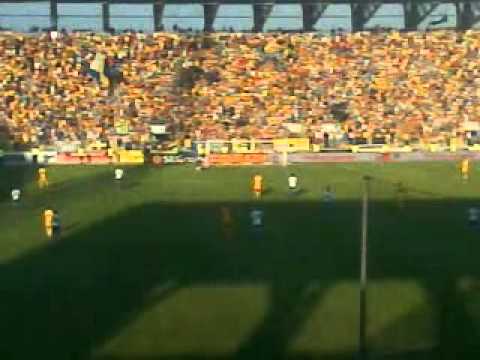 Petrolul Ploiesti - Vitesse Galerie!