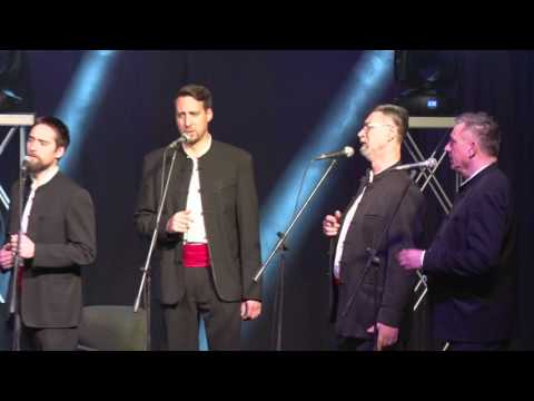 Klapa Cambi Split - Projdi Vilo (8.ožujka 2017. ŠC GRIPE)