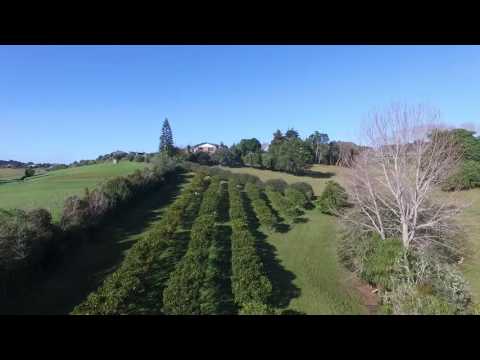 SOLD - 5/11 Davidson Avenue, Tamaterau -