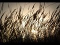Victor Nebot & Eric Nagel - Close my eyes 