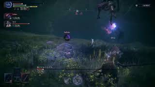 エルデンリング　ナイトレイン　友人とフルパ　テスト配信落ちるかも