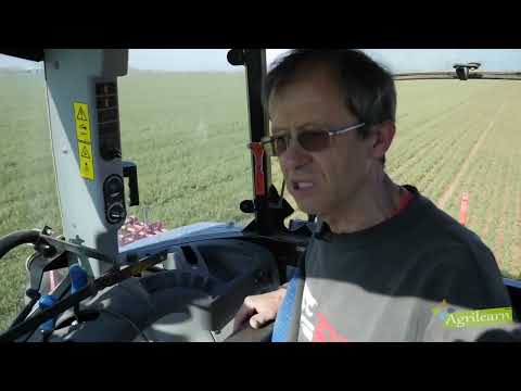 La culture du blé tendre en agriculture biologique