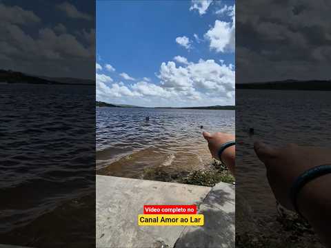 OLHA ISSO! BARRAGEM DE CAMPO DO BRITO EM SERGIPE!😲#barragem #campodobrito #sergipeturismo