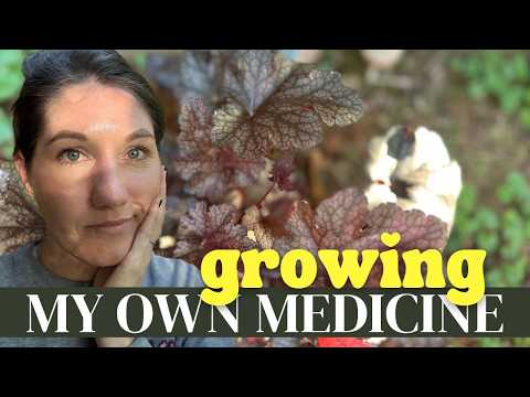 💊 or 🌱? Can You GROW Your Own Medicine?
