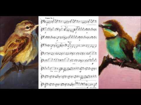 Natursänger, Walzer, Op.415 - Carl Michael Ziehrer (Sheet Music + DL)