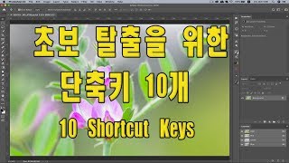 (포토샵 초급) 이것만 알아도 초보는 면한다. (단축키10개)