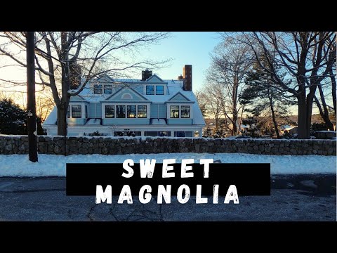 Magnolia || Massachusetts || Travel Vlog #magnolia #massachusetts #newengland