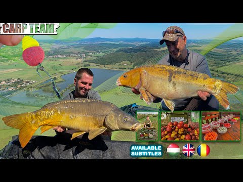 Nagy pontyok nyomában 21. rész - Őszi  pontyos kalandok a Mátrában