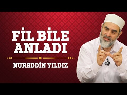 41) Fil Bile Anladı - Nureddin Yıldız - (Hayat Rehberi) - Sosyal Doku Vakfı