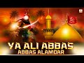 Ya Ali Abbas Abbas Alamdar Moharram Special Qawwali Most Viral Qawwali 2026