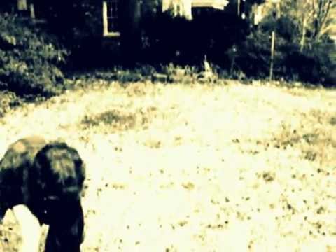 Videoclip de Dreams Old Men Dream — Cold War Kids
