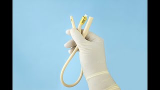 Veterinary Catheters Market, Key Trends and Innovations Shaping Animal