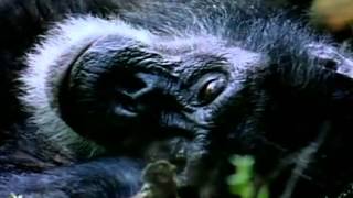 OTEP - Communion [music video]