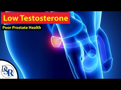 Behandlung der benignen Prostatahyperplasie in der Volksmedizin Die auf die Prostata Omnic zugeordnet ist