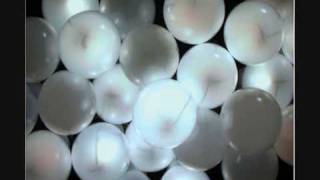 Subzero Fun Music Video