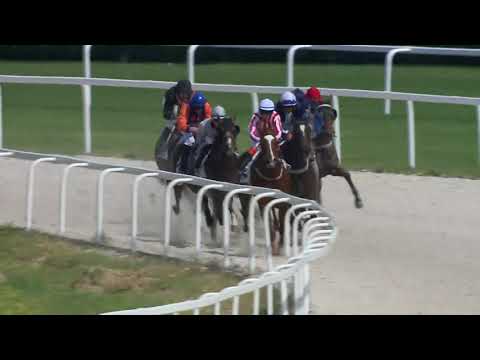 2018.05.27. 3. futam - NYERETLENEK VERSENYE (V.kat.) (szintetikus pálya)