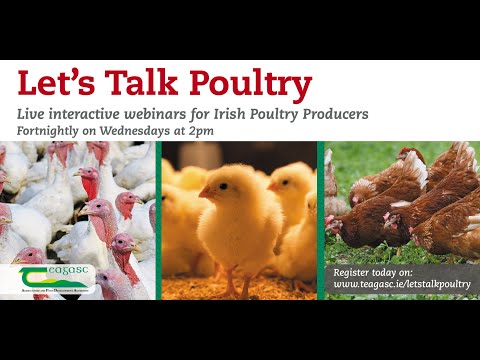 Let's Talk Poultry Webinar - Layer Management – Back to Basics