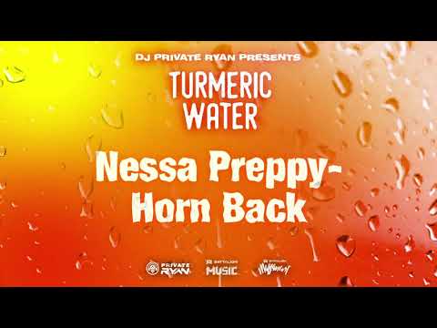 Nessa Preppy x Dj Private Ryan  - Horn Back (Official Audio) | Turmeric Water | BATTALION Music |