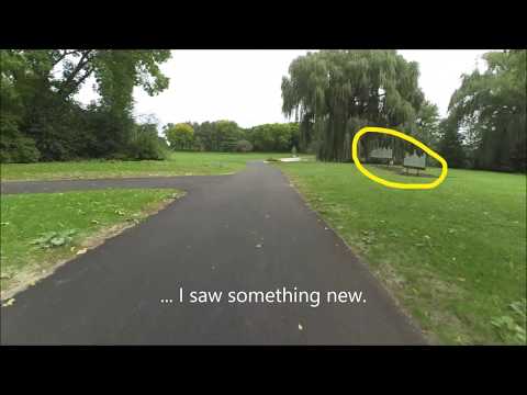 New Mystic River Amenity, Medford, MA