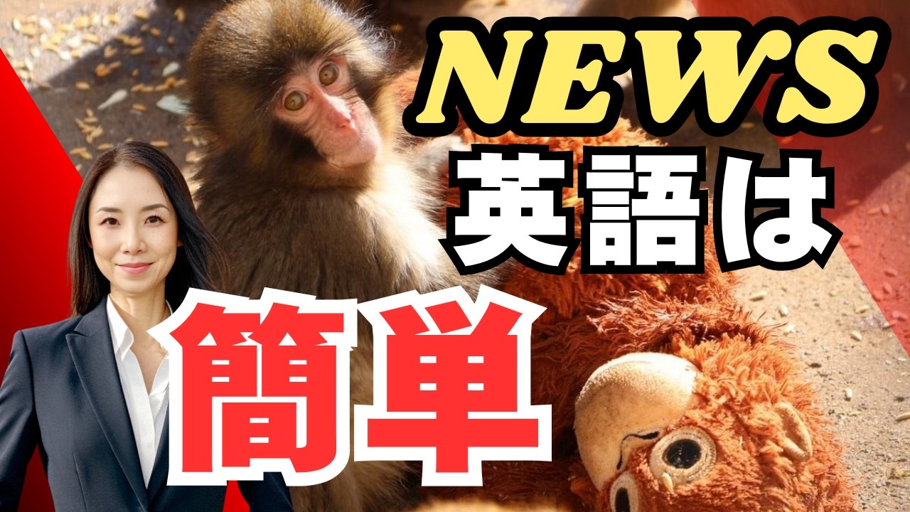 パンチ君の海外報道を見てみよう！－実はニュース英語は簡単なんです #英語 #英語学習