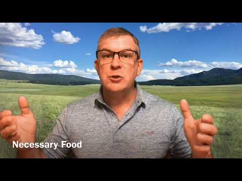 Horses and chariots of fire - 2 Kings 6:11-18