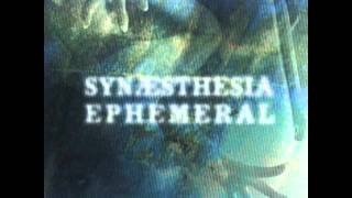 Synaesthesia - Intelligence Dream (tribal electro)