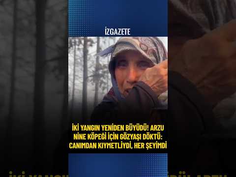 İki yangın yeniden büyüdü! Arzu Nine köpeği için gözyaşı döktü: Canımdan kıymetliydi, her şeyimdi