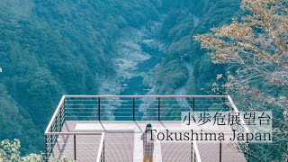 峡谷美を望む絶景の展望地/小歩危展望台　Koboke Observation Deck: A superb viewpoint overlooking the beautiful gorge