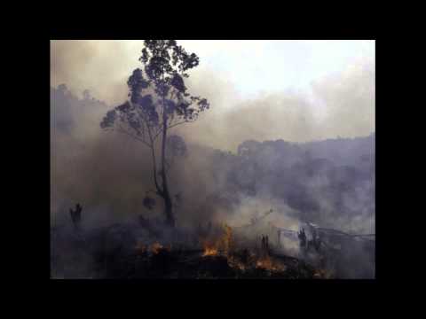 Iraimbilanja - Tanin-dolo