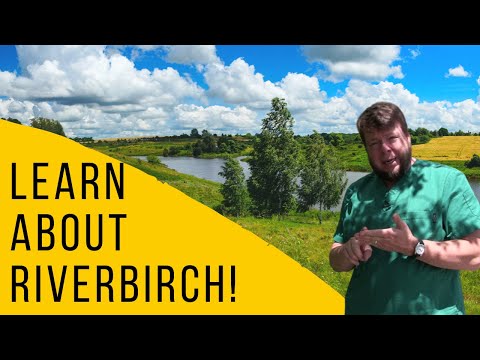 Learn about River Birch! Medicinal Benefits!