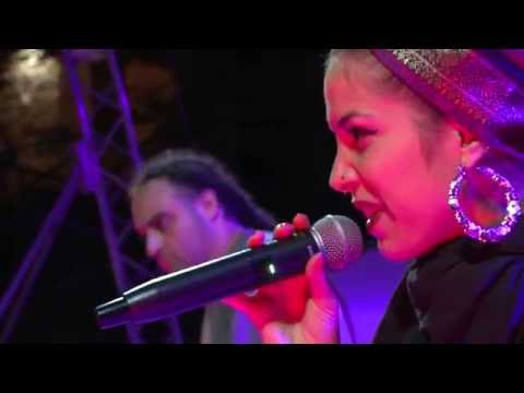 Pablo Raster - live dub session #12 - Danger feat. Zaira Zen