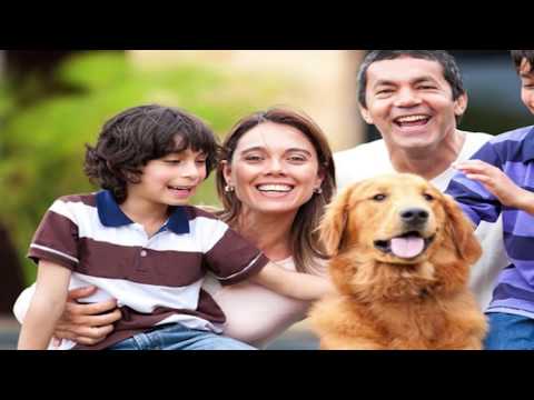 Days Inn Georgetown - North of Lexington - Georgetown, KY