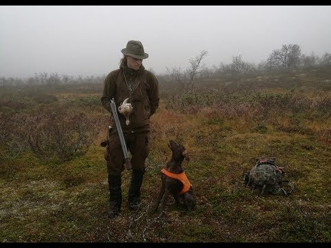 Riekkojahdissa Lapissa 2017