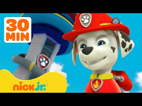 PAW Patrol Marshall's BEST Lookout Tower Rescues! w/ Chase & Skye | 30 Minute Compilation | Nick Jr.