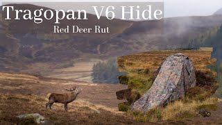 Wildlife Photography | Red Deer Rut | Tragopan V6 Hide