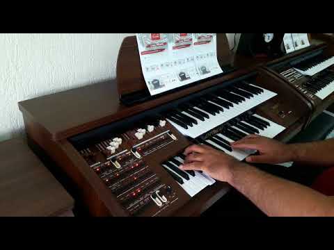 Orgão Eletrônico Tokai MD-7 - Loja Teclasom