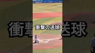 甲子園ベスト4専大松戸の吉岡くん衝撃の送球 #shorts