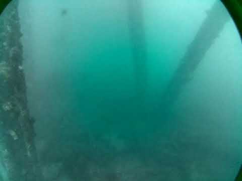 Rapid Bay Live by AusOcean 19/09/2023