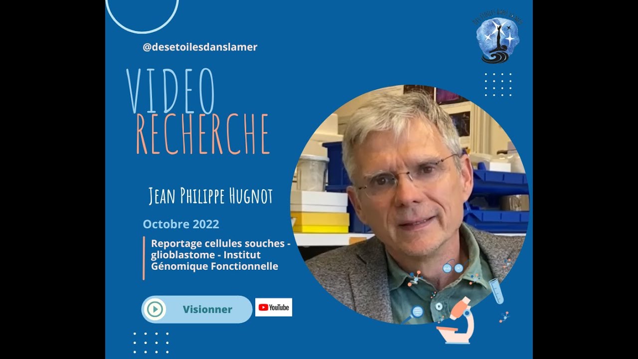 Les cellules souches cancéreuses étudiées à la loupe